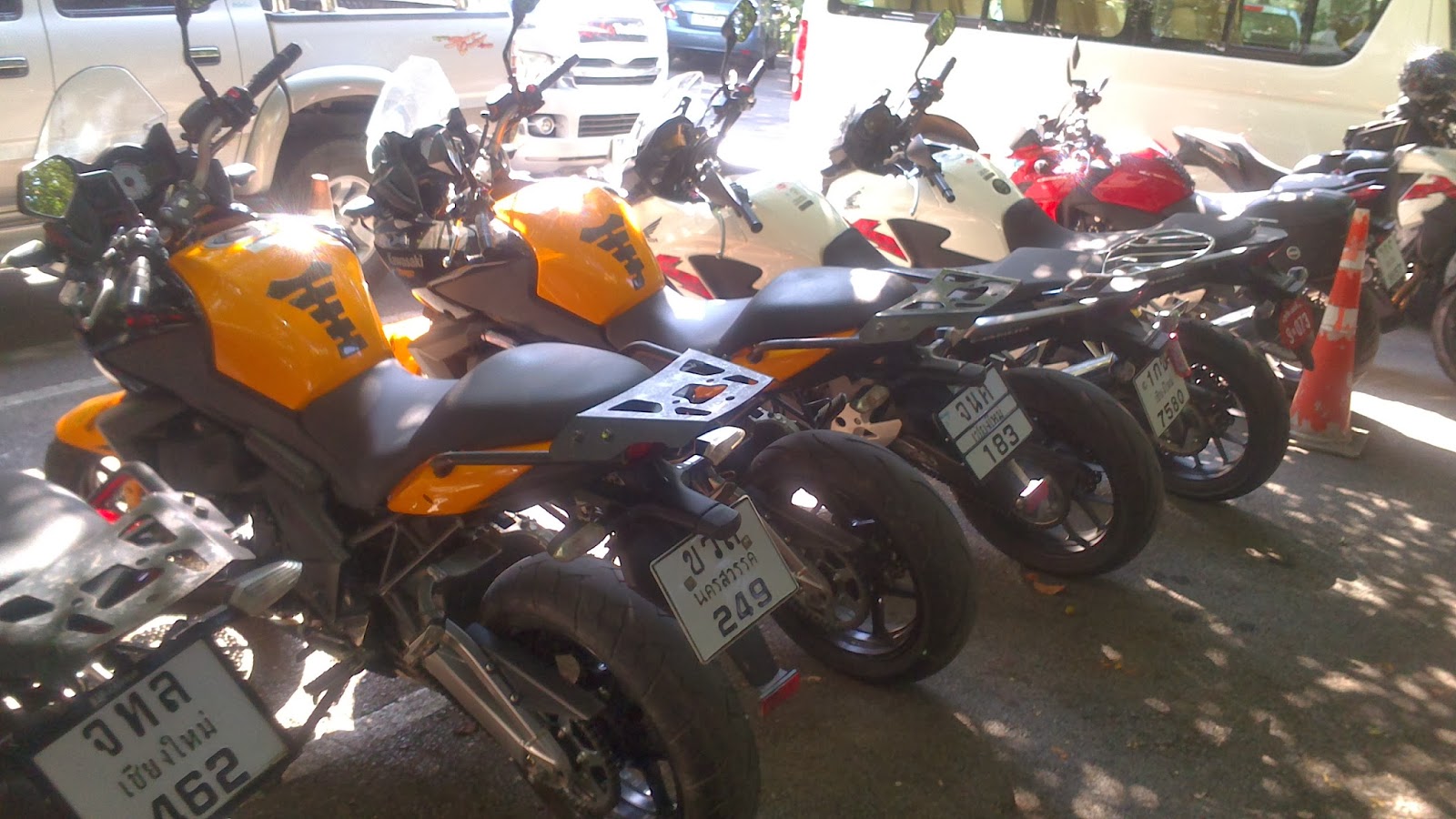Bike excursions sale